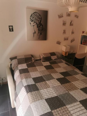 CHAMBRE CHEZ L'HABITANT - ROOM IN THE OWNER'S APARTMENT